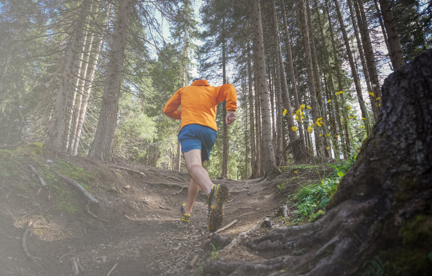 Trail